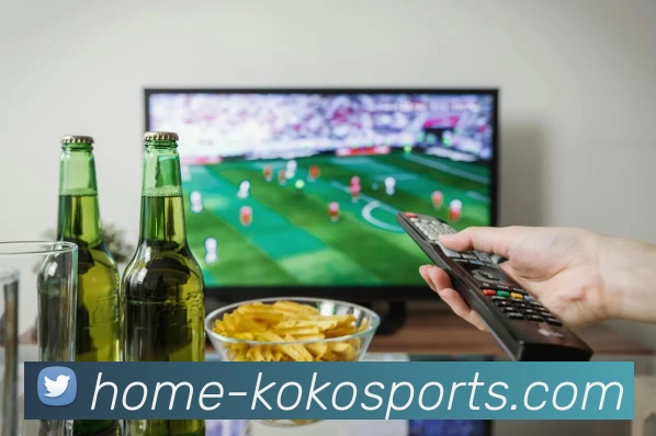 体育下注平台生态图